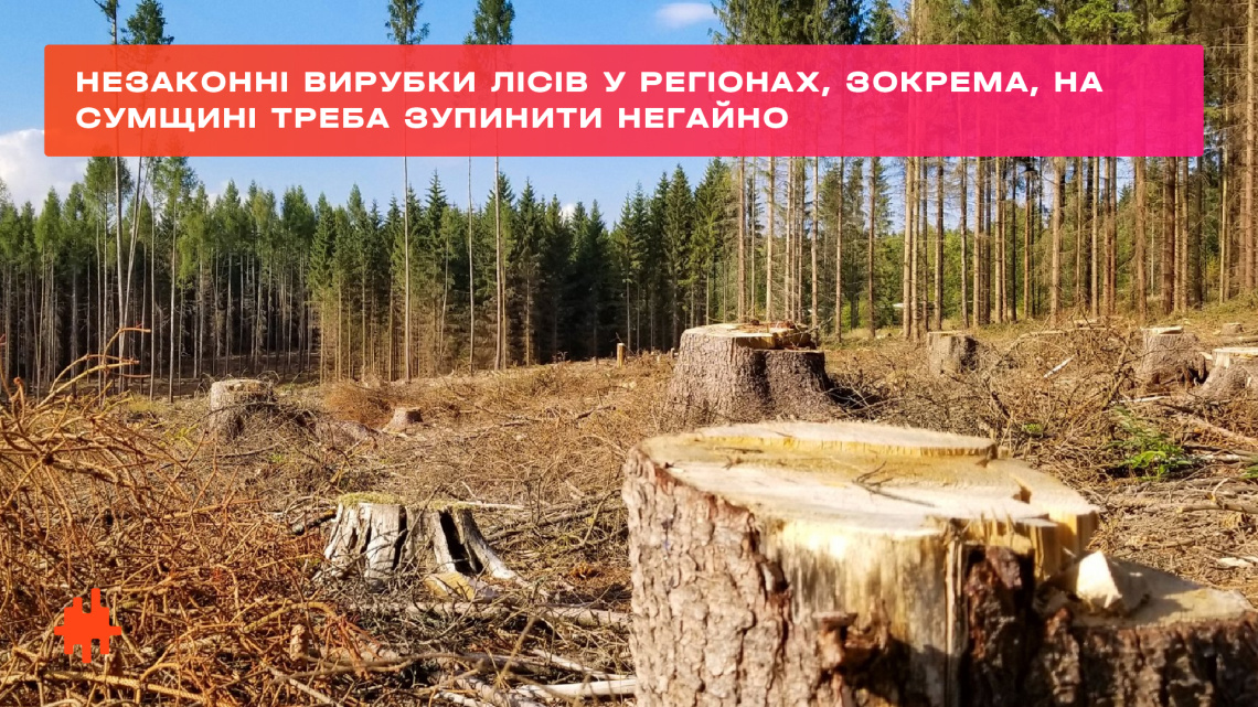 Владі варто думати не лише про висадку 3-х мільярдів дерев, а й про незаконні вирубки лісів, зокрема, на Сумщині, — Леся Василенко